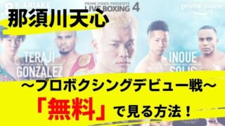 那須川天心プロボクシングデビュー戦！プライムビデオ無料で見る方法は？