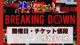ブレイキングダウン８いつ開催？観戦チケット値段や売り切れ入手方法は？
