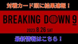 ブレイキングダウン９結果速報！対戦カード順に動画まとめ！
